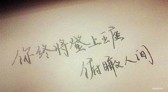 句子,能量,團(tuán)隊(duì)