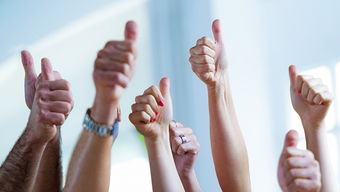 冠狀,句子,能量