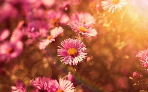 付出與收獲的正能量句子,努力收獲正能量句子,每天收獲正能量的句子