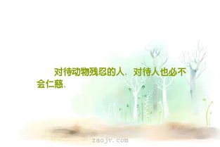 句子,災(zāi)難,能量,面對(duì)