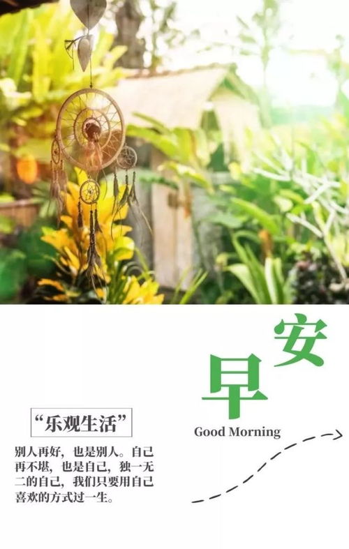 句子,能量,早晨