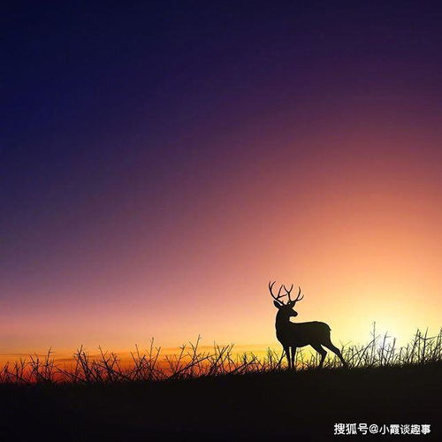 女人心態(tài)陽光正能量的句子