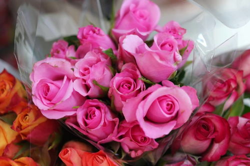 熱愛生活熱愛運動正能量的句子,熱愛生活熱愛美食正能量的句子,熱愛生活熱愛工作正能量的句子