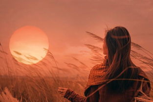 學生遵守紀律的句子,關于遵守紀律嚴于律己的句子,遵守紀律的優(yōu)美句子