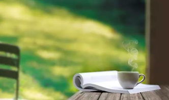 慈悲,句子,能量