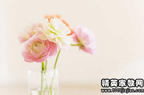 積極工作正能量的句子,充滿工作正能量的句子,工作的正能量的簡(jiǎn)短句子