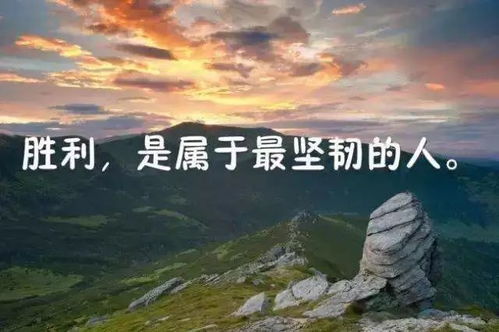 毫無意義的社交正能量句子,關(guān)于堅(jiān)持的正能量句子,懂得感恩的正能量句子