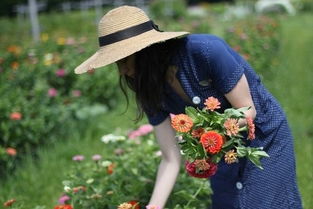 正能量的抗肺炎句子