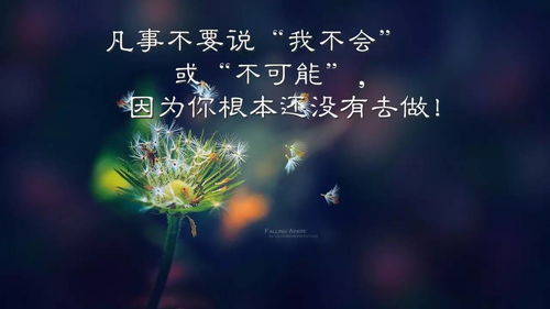 正能量的句子經(jīng)典語句學生