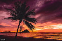 句子,學(xué)員,能量,鼓勵