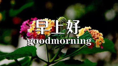 早上好女生正能量的句子和大全