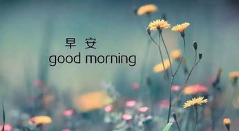 安慰別人正能量的句子經(jīng)典