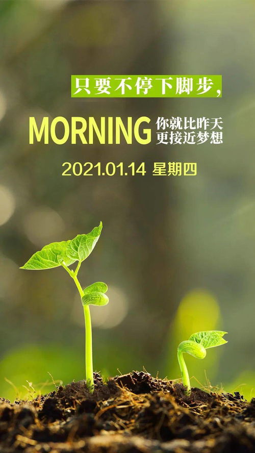 積極向上正能量早安的句子短句,積極向上正能量的句子早安語,積極向上正能量的句子短句