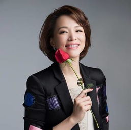 句子,能量,董卿說