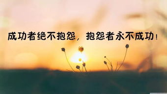 勵(lì)志的說(shuō)說(shuō)正能量經(jīng)典句子,早上勵(lì)志的說(shuō)說(shuō)正能量經(jīng)典句子,讀書(shū)正能量經(jīng)典勵(lì)志句子