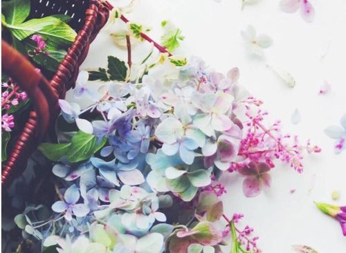 正能量可愛小句子簡短