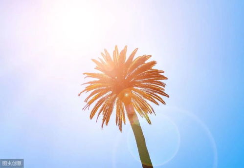 朋友圈晚安正能量的句子,發(fā)朋友圈被秒贊的正能量句子,朋友圈必點贊正能量的句子