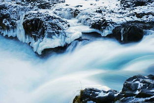 迎著陽光的正能量句子,生活陽光正能量的句子,陽光勵(lì)志正能量的句子