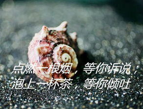 經典接地氣正能量句子