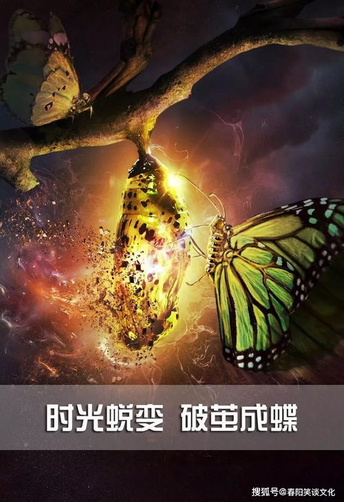 致青春正能量的句子,積極向上的句子青春正能量生活,關(guān)于堅(jiān)持的正能量句子勵(lì)志簡(jiǎn)短