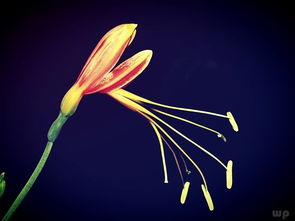 夫妻關系正能量的句子