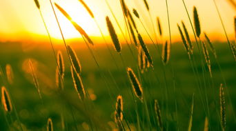 鼓勵生病孩子的正能量句子