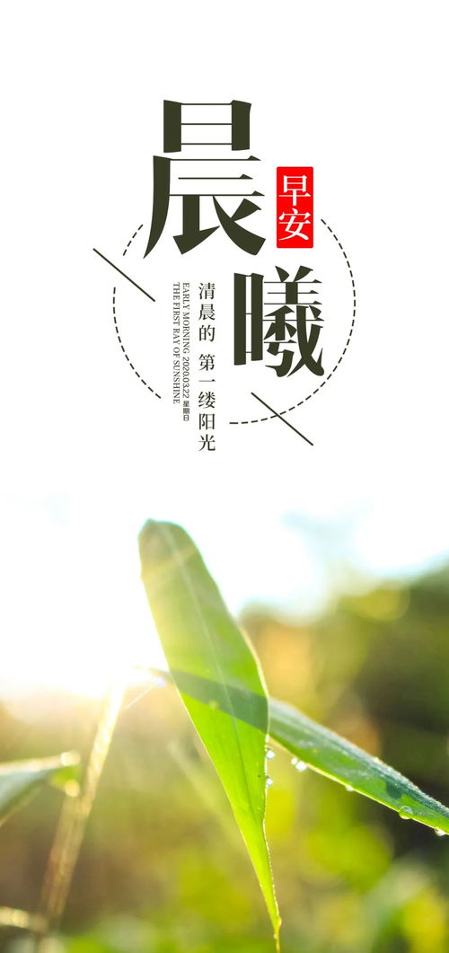 周一正能量句子早安語(yǔ)錄,上班正能量句子早安語(yǔ)錄,正能量句子早安語(yǔ)錄經(jīng)典語(yǔ)錄