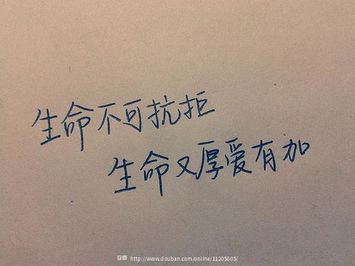 周六快樂正能量的句子,傳遞快樂正能量的句子,描寫勞動(dòng)快樂正能量的句子