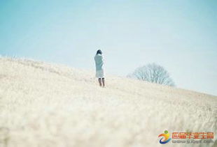 銷售正能量的句子經(jīng)典語句,銷售努力正能量句子,激勵(lì)銷售團(tuán)隊(duì)正能量的句子