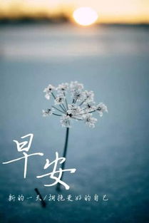 早安,簡短,句子,勵志