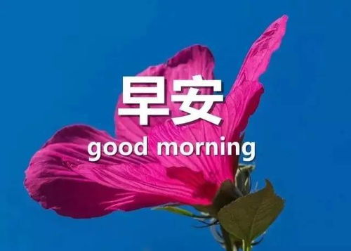 關(guān)于珍惜的正能量句子,珍惜每一天正能量句子,珍惜相愛正能量句子