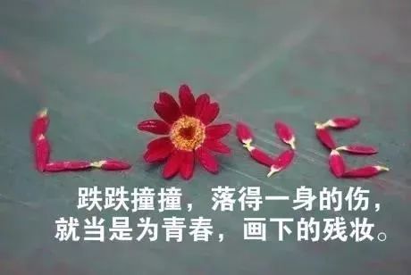 獻血,句子,能量