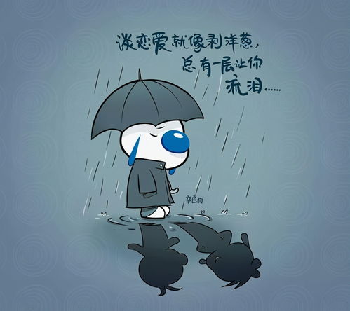 句子,能量,老婆,幽默