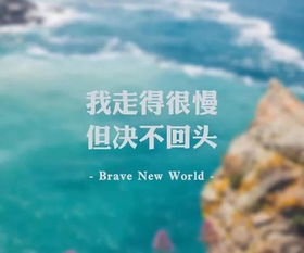 有關(guān)堅持的正能量句子