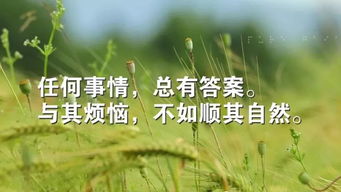 開心正能量的句子說說心情,心情好正能量的句子說說心情,加油正能量的句子說說心情