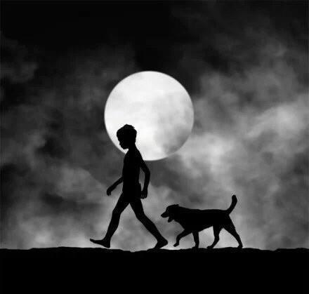 心向陽(yáng)光的正能量句子,心向陽(yáng)光正能量的簡(jiǎn)短句子,心向陽(yáng)光正能量的句子朋友圈