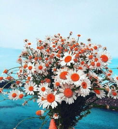 發(fā)朋友圈被秒贊的正能量句子