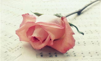 人生誰都不如意正能量的句子