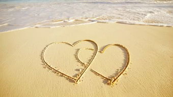 關(guān)于堅(jiān)持的正能量句子,記錄人生百態(tài)傳播正能量,正能量滿滿的勵(lì)志句子