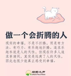 句子,能量,脆弱