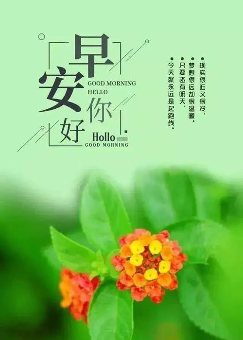 努力奮斗早安正能量的句子簡(jiǎn)單,努力奮斗早安正能量問候語(yǔ)的句子,早安努力奮斗正能量句子勵(lì)志