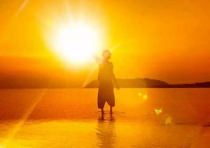 陽(yáng)光的句子正能量空間