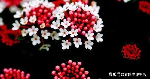 淺水正能量的句子