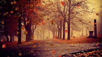 傳遞正能量的精美句子,發(fā)朋友圈的精美句子正能量,發(fā)朋友圈正能量的精美句子短