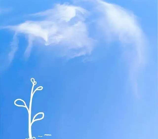 句子,能量,美好,簡單