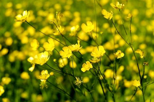 句子,能量,早上