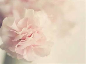 護(hù)膚品正能量的句子經(jīng)典