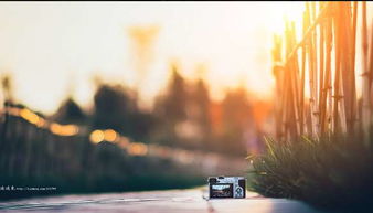 辛苦賺錢正能量的句子