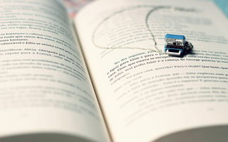 努力賺錢正能量的句子,女人賺錢的正能量句子,賺錢的勵志正能量句子