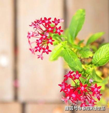 讀書正能量勵(lì)志的句子,關(guān)于讀書的正能量勵(lì)志句子(2),讀書正能量勵(lì)志的句子簡(jiǎn)短